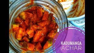 Kadumanga Achar കടുമാങ്ങ അച്ചാർ Kerala Style Mango Pickle [upl. by Lairbag572]