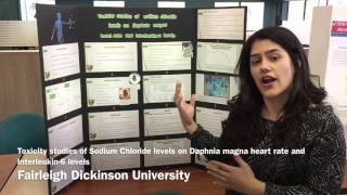 Toxicity Studies Of Sodium Chloride Levels On Daphnia Magna Heart Rate And Interleukin6 Levels [upl. by Meela]