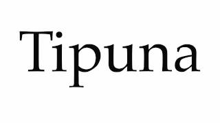 How to Pronounce Tipuna [upl. by Onia]