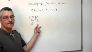 Descomponer en factores primos Aprende Matemáticas [upl. by Nonac]