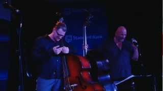 Double Double Bass featuring Hein van de Geyn amp Martin Sjostedt [upl. by Drwde]