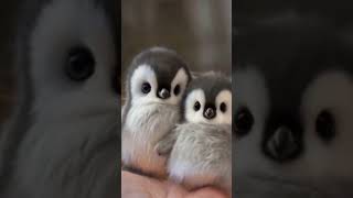 Baby bunny and penguins adorable adventures🥺🥺🥺 Cuteness Overload [upl. by Ziana]