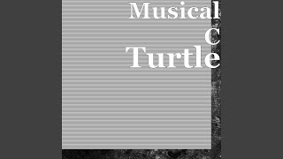 Turtle [upl. by Fidelia]