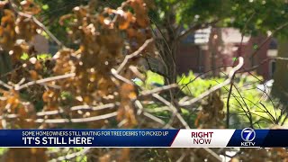 Its still here Some homeowners still waiting for curbside tree debris pickup [upl. by Irmine385]