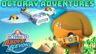 Octonauts Above amp Beyond  Octoray Adventures 🛩️ 🏝️  Compilation  Octonauts​ [upl. by Hayila804]