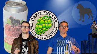 Brewtubers 2024 Fruit Experiment Review 4  Strawberry Purée at cold crash bigd7270 [upl. by Muhammad]