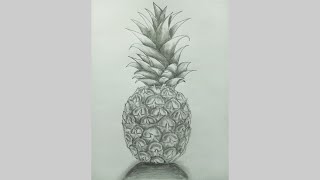 Pineapple Drawing with pencil Shading Step By Step  How to draw Pineapple drawingfruits [upl. by Lasyrc]