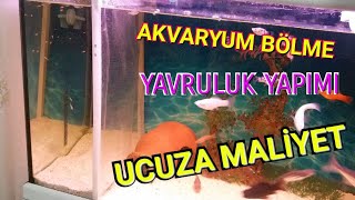 Sineklik ile akvaryum bölme nasıl yapılır [upl. by Nacnud496]