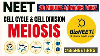 Mastering Meiosis Cell Division NEET NCERT Biology [upl. by Nileuqaj]