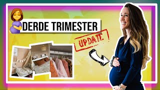 ZWANGERSCHAP DERDE TRIMESTER UPDATE 🤰🏼👶🏻 VLOG l babykamer l moeheid l MOXA therapie [upl. by Aurelio225]