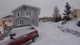 Newfoundland Snow Storm Jan 2017 [upl. by Nirrok584]