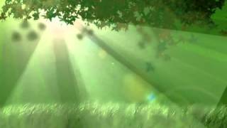 In garden Free Motion Background Loop [upl. by Furr]