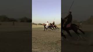 newsong song music punjabi horse punjabisong horselover hourse love [upl. by Erised785]