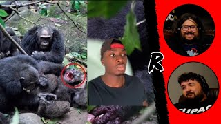 One Mistake and This Chimp Lost It All  mndiaye97  RENEGADES REACT [upl. by Lian395]