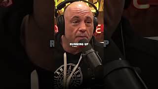 Joe Rogan on Craziest Chimpanzee Dog Breed [upl. by Ramel]