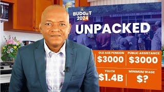 FYI  Unpacking Guyanas Budget 2024 [upl. by Oal200]