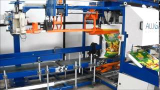 Automatic Bagging Machine [upl. by Areval580]