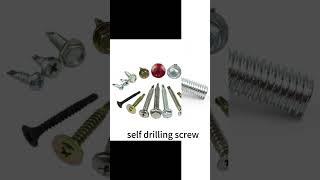 Discover Different Types of Screws 🛠️Screws DIY fasteners ChipboardScrew DrywallScrew [upl. by Scherman]