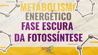 Metabolismo Energético  Fase Escura da Fotossíntese [upl. by Ecidna]