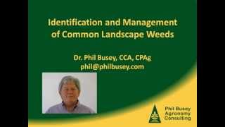 Weed control in Florida turfgrass with herbicides and cultural practices [upl. by Adia]