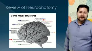 Neuropathology Lecture [upl. by Helenka]