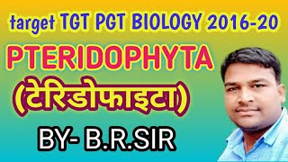 Pteridophyta  tgt pgt biology  Best material for tgt pgt biology  pteridophyta full lecture [upl. by Hau]