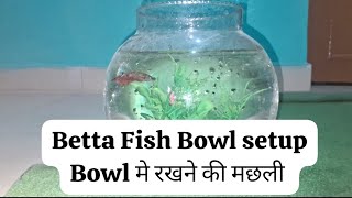 Fish Bowl Setup Bettafish [upl. by Doria189]