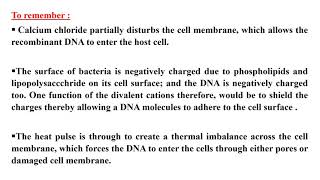 LAB 10 bacterial Transformation [upl. by Leivad]