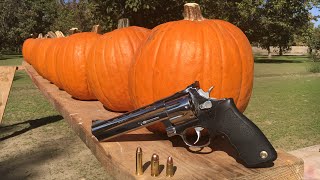 357 MAGNUM VS 45 ACP VS 9MM VS PUMPKIN [upl. by Frayne563]