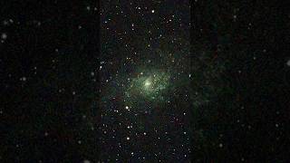 The Triangulum Galaxy through my telescope shorts space astronomy [upl. by Lurline]