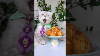 Yummy🤩 Noodles amp Octopus Balls Are A Unique Flavor🍜🐙 catsofyoutube foodlover tiktok [upl. by Sadnak]