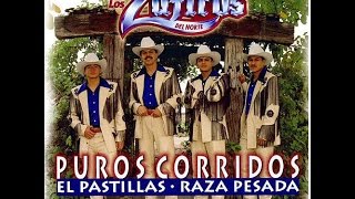 El Michoacano  Los Zafiros Del NortePuro Corridos [upl. by Yelsnit]