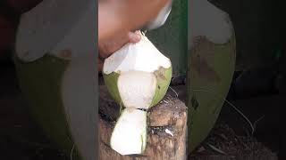 Young coconut master cutting skills viralvideo coconut satisfying streetfood fypシ゚ [upl. by Attaymik488]