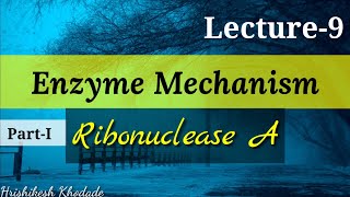 Lecture9  Enzyme Mechanism  Ribonuclease A Catalysis  Acid Base Catalysis type of Reaction [upl. by Yeliw535]