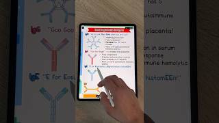 Learn the Antibody Classes from my new Pathology amp Immunology Guide📗medstudent medschool usmle [upl. by Adelaida]
