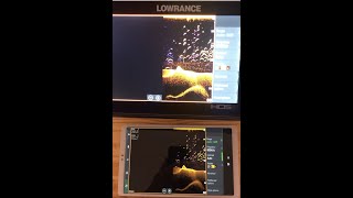 Quik Compare of Lowrance FS9quot to HDS 9quot [upl. by Naima]