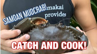 SAMOAN MUD CRAB CATCH N COOK [upl. by Norej]