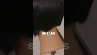 ✂️ how to point cut a straight line ✂️ precisioncutting haircutting [upl. by Vergil361]