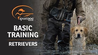 Basic Training  Retrievers [upl. by Strong322]