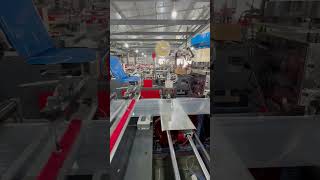 Automatic zipper lock bag side sealing cutting making machine [upl. by Amadis]