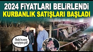 2024 Kurbanlık Fiyatları belirlendi satışlar başladı VERA Büyükbaş Besi Çiftliği  Ankara Altındağ [upl. by Arri178]