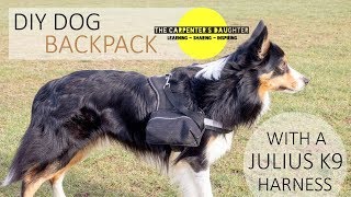 DIY Dog Backpack Julius K9 Harness  The Carpenters Daughter [upl. by Chadwick774]