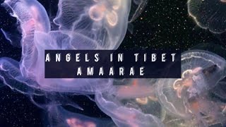 Angels in Tibet  Amaarae Instrumental [upl. by Atiuqet554]