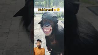 Selfie leta hua monkey 🐒 monkey babymonky bandar animals funnyanimals [upl. by Ginzburg654]