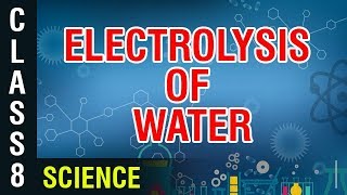 Electrolysis of Water  8th Class Science  Digital Teacher [upl. by Udell]