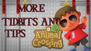 Tidbits amp Tips Animal Crossing New Leaf Villager House Placement Tanning and Fast PWP [upl. by Ennairak]