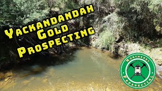 Yackandandah GOLD prospecting   Throwback Thursday [upl. by Cates]