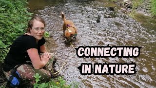 Dogs LOVE These Experts Top Nature Connection Tips [upl. by Goldia]