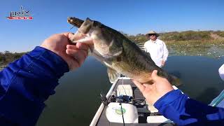 Top Water Frog Fishing at Rust de Winter Dam [upl. by Sansone]