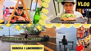 IL TEMPO dei LIMONI 🍋🍋🍋 Vlog settimana 5 [upl. by Adrea]